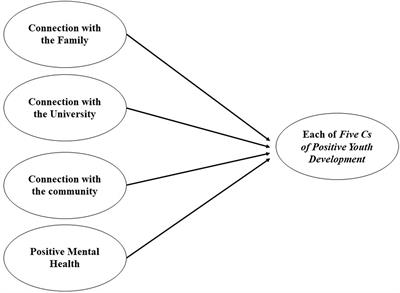 Developmental assets and positive youth development in Brazilian university students